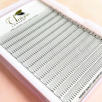 China Natural Eyelash Extension Fans Volume Premade Tray Private Label XL Short Rod Premade Fans Big Premade Tray for sale