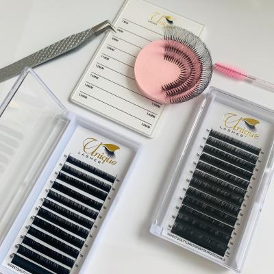 China Bulk Price Sensitive/Ultra Light/Super Soft Matte Russian Volume Whips 8-30mm Lashes Tray Easy Fan Volume Wicks for sale