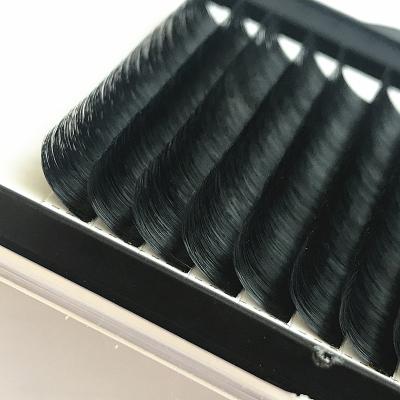 China Delicate / ultra light / super soft high quality daily using easy fanning lashes mega volume whips 0.03 0.05 0.07 popular in Spain for sale