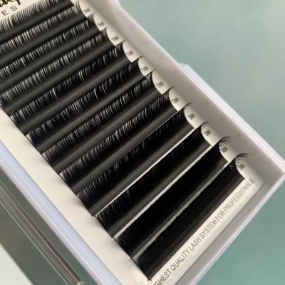 China 0.05mm Natural Super Soft High Quality Long Easy Fanning 0.07mm Lashes Different Lashes for sale