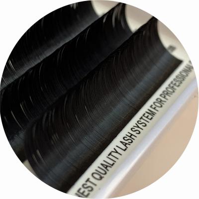 China Super Thin Unique Matte Black Lash Heat Bonded Lash Eyelash Extension for sale