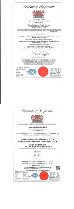 ISO 9001 - Changshu Tegaote Textile Co., Ltd.