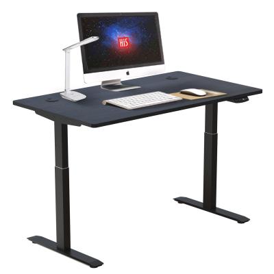 China Factory Wholesale (Height)Hi5 Home Office Adjustable Sit To Stand Electric Motor Double Height Position Desk Adjustable Computer Desk for sale