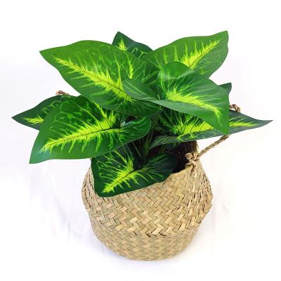 China YIWAN New Design Wholesale Artificial Home Decoration Flower Fake Tropical Plants Potted Taro Leaf For Wedding Home Decorative A Bunch Of Elm Leaves for sale