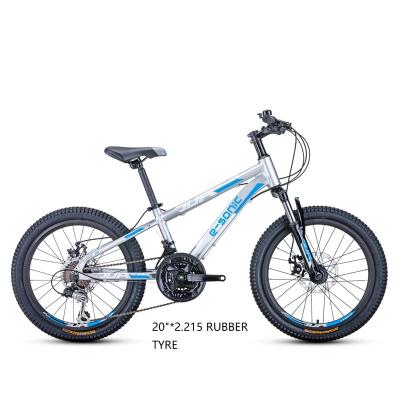 China Moutain Bicycle Newly Updated Wholesale High Quality 21 Speed ​​JUNIOR 4.0 Mountain Bike For Boys Cheap Price Kids Bicycle From Chinese Factory for sale