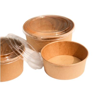 China Poly Lined Disposable Food Grade Inside Safety Wrapping Paper Card Color Noodle Lunch Natural Soup Bowl for sale