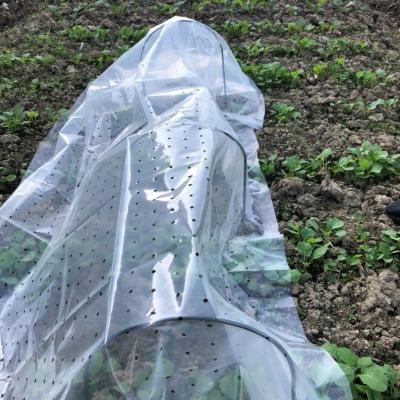 China Premium Anti Agriculture UV / Hdpe Kit Hoops Hole DIY Tunnel Mulching Film With Holes For Vegetable Ground Cover Keep Moisture And Temperature for sale