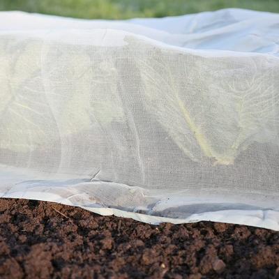 China Premium Anti UV PE Superfine Blanket For Plant Ground Cover Anti Insect Protection And Pest Control for sale