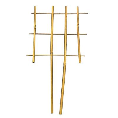 China Natural Bamboo Support Plant Flower Support Height 45cm for sale