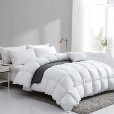 China Nondisposable Luxury Oversized Comforter Set White Microfiber Comforter Queen Size Comforter Bedding Filling Set for sale