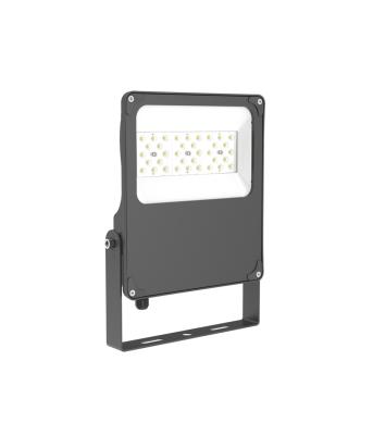 China Sports Stadiums Special Design Widely Used 30w 120 Efficiency 3600 Lumen Ip66 Outdoor Lights Led Flood Light for sale