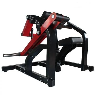 China 2022 New Design Home Gym Fitness Equipment Seated Biceps Machine for sale