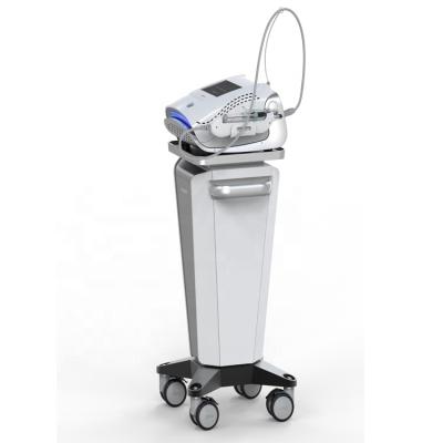 China Skin Tightening Shuiguang Hot Selling Beauty Salon Shuiguang Nano Needle Facial Skin Rejuvenation Machine Beauty Machine for sale