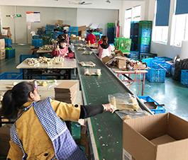 Verified China supplier - Ningbo Weijunshe Household Products Co., Ltd.