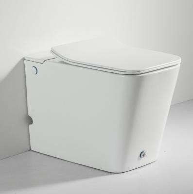 China Europe High Quality Dual Strap Double-flow Tankless Closestool Ceramic Toilet Floor Flush for sale