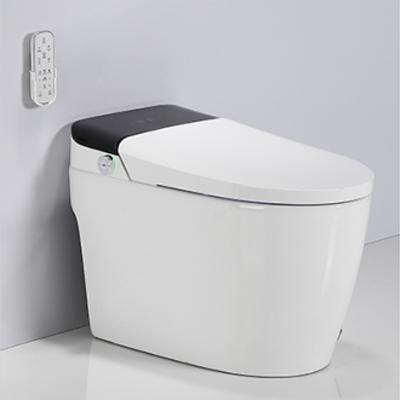 China High End Automatic Operation Smart Cleaner Seat Wc Multifunctional Automatic Toilet With Remote Control for sale