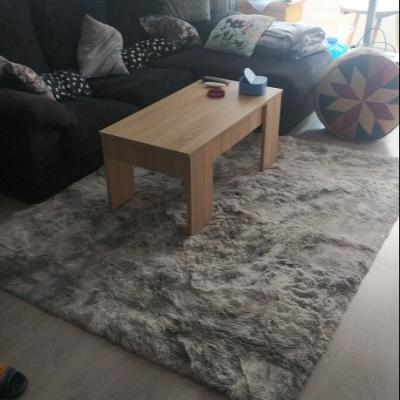 China Factory Supply Washable Soft Fluffy Carpet For Living Room Shaggy Carpet Floor Rugs Bathroom Alfombra Tapete for sale