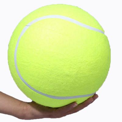 China Dropshipping Stocked Pet Toy Bite Toy Dog Toys 9.5 Inch Pet Ball For Dogs Pet Supplies for sale