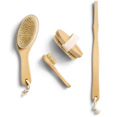 China Newest Long Handle Design Natural Pure Boar Hair Cleansing Dry Skin Wet Wood Handle Body Wood Reading Brush for sale