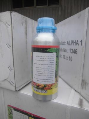 China Fungicide for fruit and sugar beet cereals,Carbendazim 80%WP CAS NO. 10605-21-7 for sale