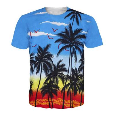 China Anti-wrinkle ODM Manufacturer Custom Men Sports T-shirt Hawaiin Beach Printing Breathable Tee High Quality T-shirt For Sublimation for sale