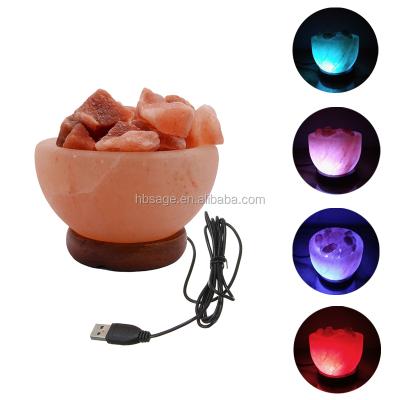 China Europe Multiple Colors Himalayan Crystal Rock Salt Lamp USB Fire Bowl With Wooden Base for sale