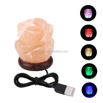 China China Himalayan Rose USB Crystal Salt Lamp with Wooden Base in Multiple Colors for sale