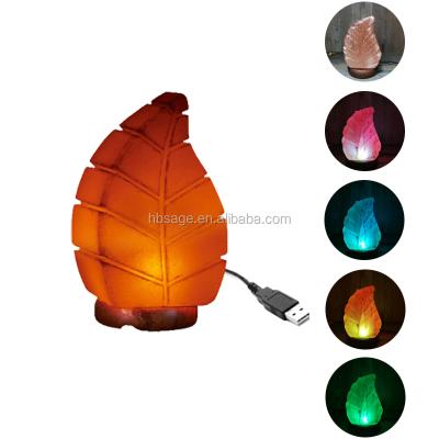 China Europe USB Himalayan Leaf Salt Lamp With Wooden Base In Multiple Colors for sale