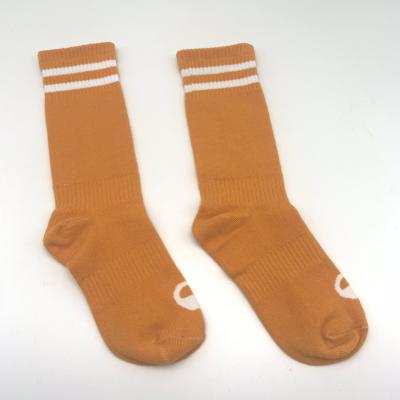 China Cheap Designer Unisex Custom Logo Sports Combed Antibacterial Hot Sale 100% Cotton Sock for sale