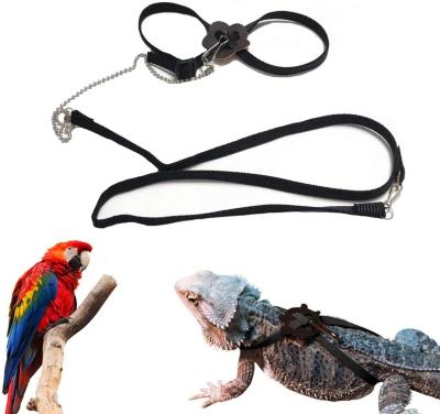 China Custom Adjustable New Design Amazon Dragon Pet Harness Leash Reptile Lizard Bearded For Small Pets for sale