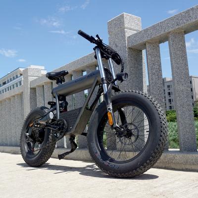 China Fashionable most popular free shipping 10ah 15ah 20ah 20 inch e bike fat tire electric bike 500W for wholesale for sale