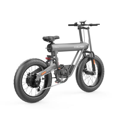 China 2020 fashionable newest china 20 inch fat tire 48V e bike electric bicycle folding bike for sale