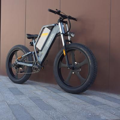 China Cheap 750W Aluminum Alloy Fast Speed ​​Custom Electric Bike E Bike Lithium Battery Motor E Bike for sale