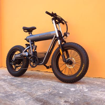 China Aluminum Alloy Electric Bike Fat Tire E Bike Foldable E Bike 2021 for sale