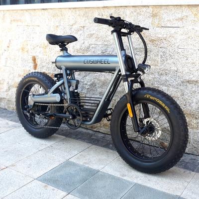 China Aluminum Alloy Fat Tire Foldable Electric Bike 20