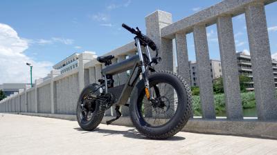 China Aluminum Alloy 20inch Foldable Fat Tire Electric Bicycle Mountain Ebike for sale