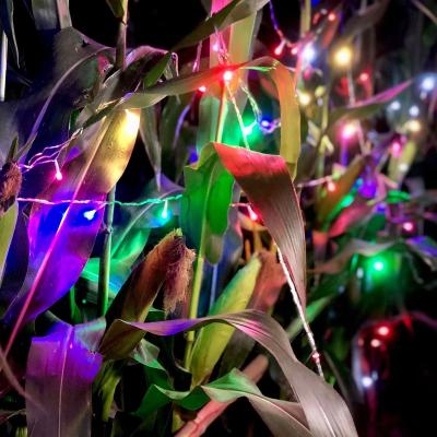 China Wedding Classic Waterproof Fairy Custom Outdoor Party Decorative Christmas Tree String Light Christmas Tree Lights for sale