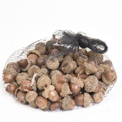 China Natural Acorns Material Wholesale DIY Home Use Ornaments Christmas Decoration Natural Acorns for sale