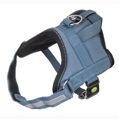 China Lights Customized Colorful Nylon Reflective Tape Adjustable Comfortable Dog Collar Backpack for sale