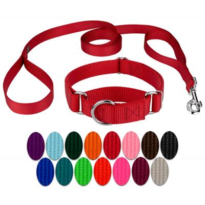 China New Design Simply Pet Supply Dog Collars And Leashes DETACHED for sale