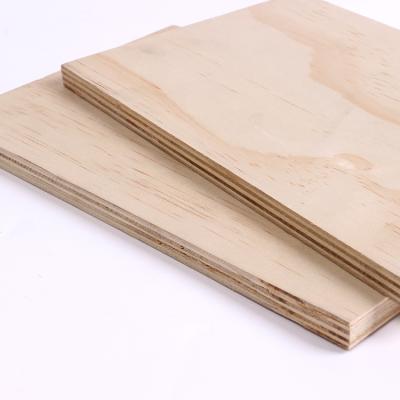 China China factory contemporary custom pine plywood commercial plywood all over the world for sale