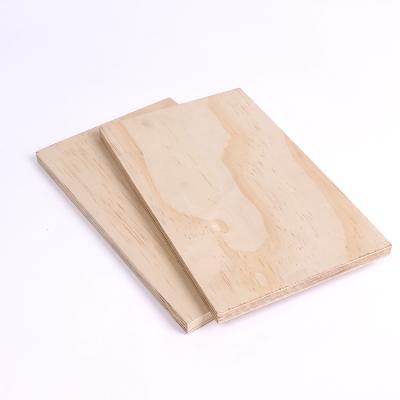 China Contemporary structural pine plywood and structural pine trilay and plywood for sale