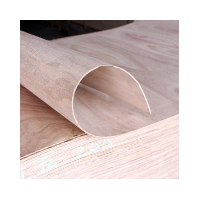 China Contemporary Hot Selling Cheap Custom Light Weight Curved Plate Bent Plywood For Chair Parts for sale