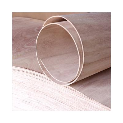 China High Density Curved Flat Bent High Quality Contemporary Wholesale Bent Plywood Manufacturing Plywood for sale