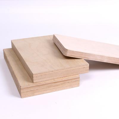 China Factory Supply Contemporary Commercial Furniture Shandong Multilayer Birch Plywood for sale