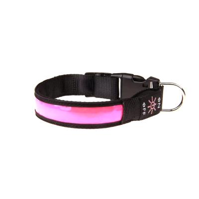 China Amazon DETACHED USB Rechargeable Led Dog Collar Cat Pet Light Multicolor Dog Collar for sale