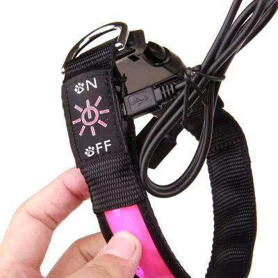 China Best Selling DETACHED Dog Collar Led Optional Button and USB Chargeable Optional Led Dog Collar for sale