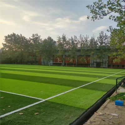 China Dark Green PP+PE Outdoor Turf Football Gym Colored Futsal Artificial Grass For Soccer Field Roll for sale