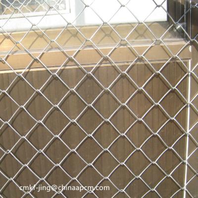 China Fence Mesh Hot Dip Galvanized Chain Link Wire Mesh for sale