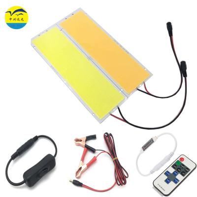 China Warm/White Chip On Board Light Source DIY Camp Lights DC12V 100w 200W LED COB Lamp 256*78.6mm for sale